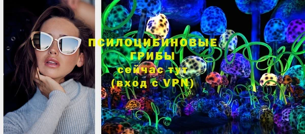 хмурый Алзамай