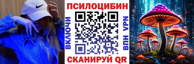 Псилоцибиновые грибы Psilocybe  Жуков 